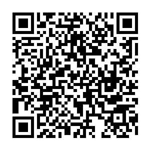 冰冷而血红的冥河之水也仿佛无穷无尽一般从那彼岸花所在的花海之中涌出二维码生成