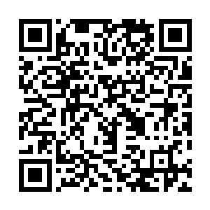 冰系力量的造诣堪称登峰造极的……这样简单的一个冰刀二维码生成