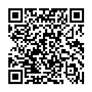 决定带两个刑警和桐花镇的毛峰去湖北执行抓捕任务二维码生成