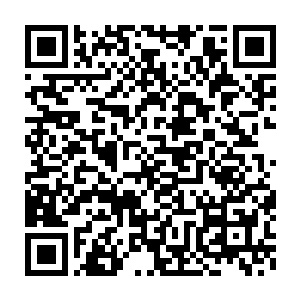 况且即使是完全祭炼了龙傲天体内的灵力的数量也根本支撑不了几次二维码生成