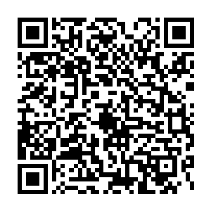况且玲珑鸟和树叶的颜色融为一体的时候就完全找不到它的存在了二维码生成