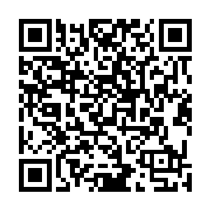 冷流月和病书生都是看过前些天凌铁寒和墨修尧的比武的二维码生成