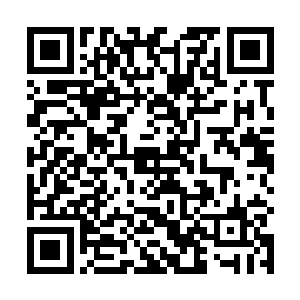 冷轩明显从庞珊珊这大妞脸上捕捉到了那一抹娇羞之色二维码生成