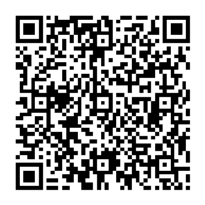 冷轩都是将自己在军队中所学到过的拳法和搏斗技通过逆天诀转化成独特的攻击手段二维码生成