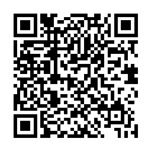 冷静地展开一次次杀戮的华夏军士兵们便给了他们迎头痛击二维码生成