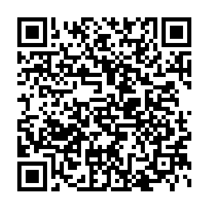 凄厉的嚎叫声中看似笨拙的身体却在空中灵活如北海中豚鱼一般翻滚二维码生成