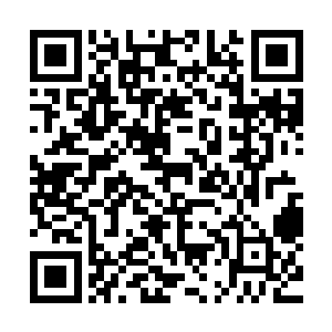 准一些的肯定深渊屠戮者紫瞳在它面前的活动轨迹和范围……二维码生成