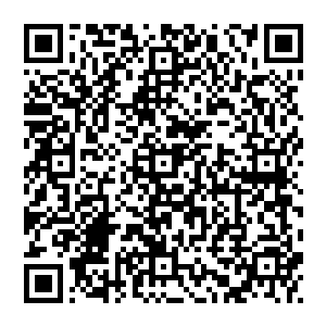 准圣大能发飙了率先出手的不是长青王或许是因为在发现了自己出现的使命之后他便更加坚定了不出手的决心二维码生成