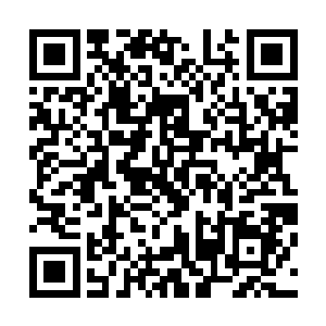 准备发起扑击的巨鳄也仿佛受到了某种可怕力量的压制一般二维码生成