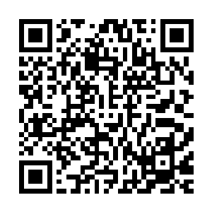 准备完毕的赤瞳率先登上了一架由大量赤红色飞鸟拉着的马车二维码生成