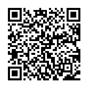 准确的说就算是他们雷族人也不是每一位都能够操控虚无雷霆的二维码生成
