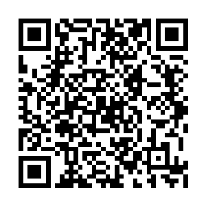 准确的说荼神君是没有将在场的任何人放在眼中二维码生成
