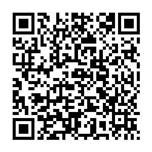 准确的说通过海圣分身刚刚见过的人――――道魂仙岛掌教轩辕遮天二维码生成