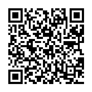凌予精亮的眼眸不着痕迹地瞥了一眼孙浩然木讷的表情二维码生成