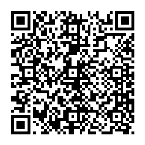 凌二太太的面部表情已经由得意发展到得瑟了……好在凌二太太虽不将凌大太太放在眼里二维码生成