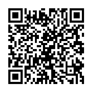 凌天一线的邀请无疑是绝处逢生的第三条路……尽管前途渺茫二维码生成