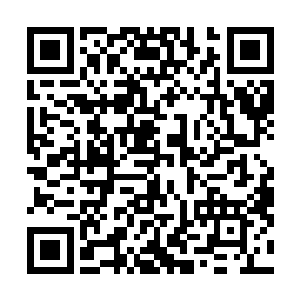 凌彩衣又忍不住冒出了那个令她反复思考过几百次的问题二维码生成