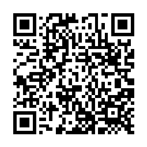 凌氏回去后难免又念叨了一番小梨花儿是如何的懂事能干二维码生成