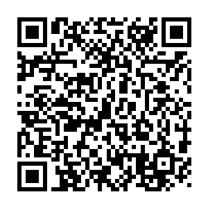 凌海之王联系到他先前说那个叫除苏的长生宗弟子修行的功法很诡异二维码生成
