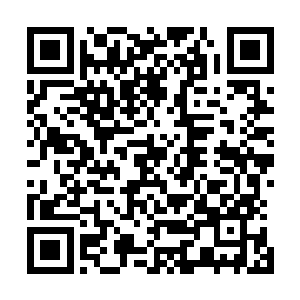 凌海市地下世界核心层怎么着也轮不着他们这些小帮派染指二维码生成