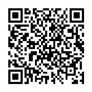 凌菲一眼就找到了即便是在人群里依旧是第一显眼的龙战二维码生成