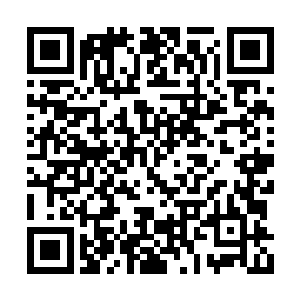 凌菲从树林边沿的地方拾起两根不粗不细的木棍二维码生成