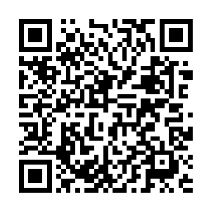 凌菲把准备给族人滋补身体的药材分成一小堆一小堆的二维码生成