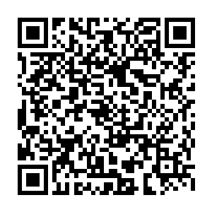 凌菲给它们检查了身体一遍发现没有什么异样后彻底放它们可以自由的活动了二维码生成