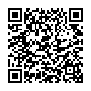 凌菲领着大伙一部分研磨炒成辣椒面做菜用一部分挂起来晒干二维码生成