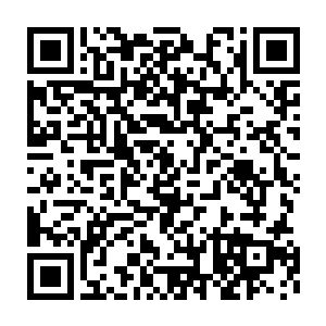 凌蘭也不希望她的小伙伴们在虚拟世界中养成无所谓死亡这种心态二维码生成