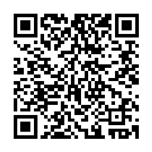 减少了实验室的成本――该公司正在根据杨锐提出的改进意见二维码生成