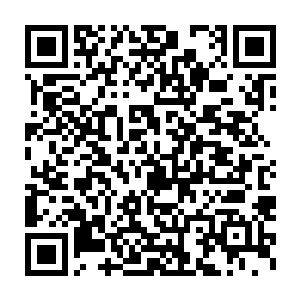 减少是指科学研究中使用较少的动物获取同样多或更多的实验数据二维码生成