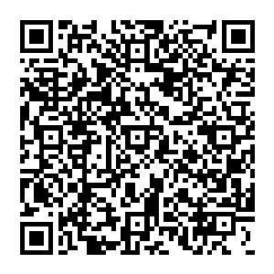 凑到鼻尖仔细闻了闻……正当观看比赛的观众们认为觉哥准备将手指放进嘴里舔上一口的时候二维码生成