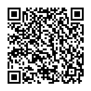 凝聚起來的十五星以及十六星强者数量根本就不是我们龟族可以比拟的二维码生成