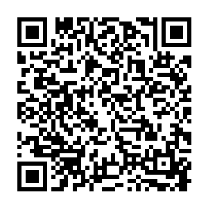 几个二世祖中的长辈立刻派出了几个结丹期第十层的弟子前去抓捕杨玲珑二维码生成