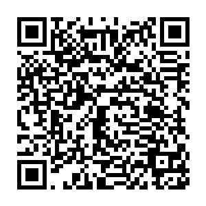 几个人满脸不可思议的望着一棵不起眼的小树底下的乳白色的玉瓶二维码生成