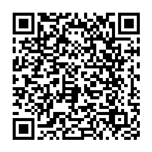 几个侍应生们自然也就能够理解为什么主管刚才会那样态度恭敬了二维码生成
