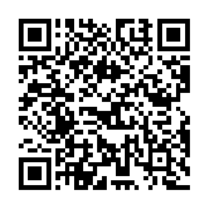 几个准备打免费炮的小弟此时完全如泄了气的皮球一样二维码生成