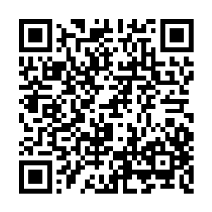 几个守门的校尉屁颠屁颠把秦林一行人迎了进去二维码生成