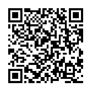 几个打扮得婀娜多姿的导行小姐面带微笑站在指示牌旁边二维码生成