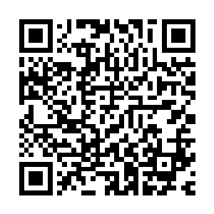几个挡在他面前的侍卫一下子就被他毫不客气的踢得摔了出去二维码生成