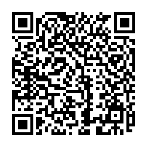 几个放出神识打量柳昔卿的修士都在这速度无法用神识来捕捉的银丝箭上吃了亏二维码生成