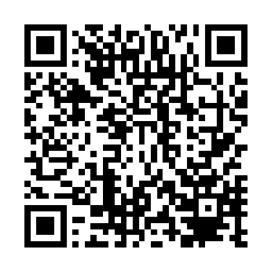 几个有角少年这才发现皮塔的皮肤已经被抓出了一条条血杠二维码生成