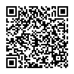 几乎一瞬间便将那些狂暴游动的血蛇的前半部分全都吞噬了进去的……二维码生成