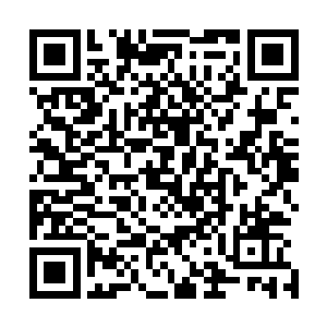 几乎不会受伤的他又怎么会忌惮正在承受雷火风暴不断轰击二维码生成