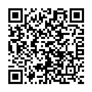 几乎不在他的功夫之下……秦方可以倚仗精准的射击而猎杀韩龙二维码生成