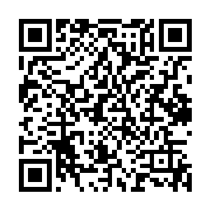 几乎不是简单的修养就可以恢复的……即便夏侯可以活下去二维码生成