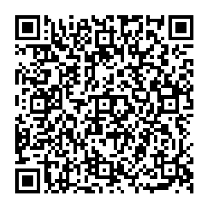 几乎从没有一个烂好人能够当得上的……甚至几乎都是一些姓格无比偏激的人踏上了这个位置的二维码生成