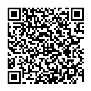 几乎可以算得上是同阶无敌了……可碰上这种比他更高一个层次的强横攻击二维码生成