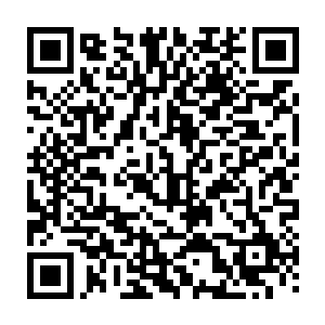 几乎同时一下子就把他身上的第三条腿和另外两条腿大腿以上的部分全部抽断了二维码生成